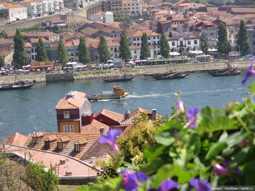 5 ноября - День Рассматривания Старых Фотографий (фото 8)