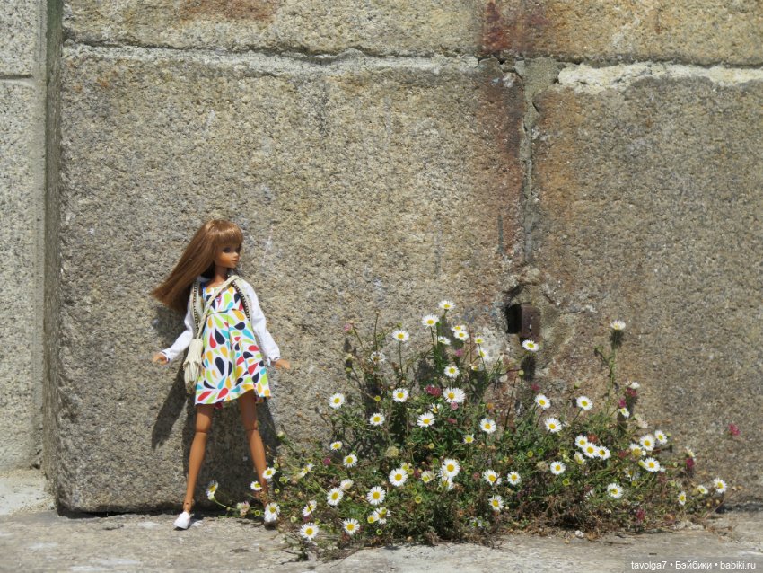 5 ноября - День Рассматривания Старых Фотографий (фото 7)