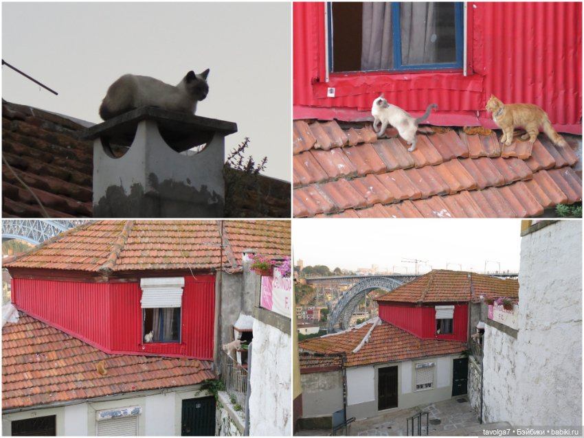 5 ноября - День Рассматривания Старых Фотографий