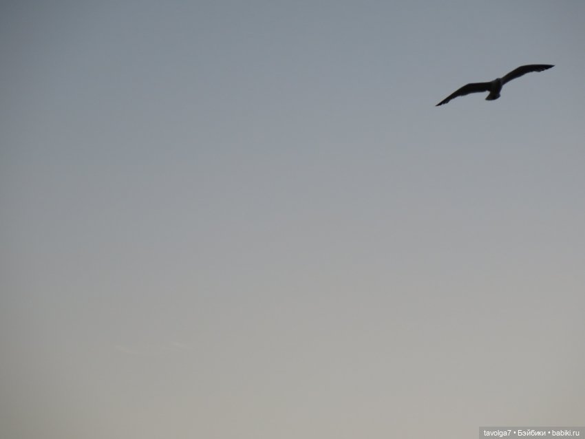 5 ноября - День Рассматривания Старых Фотографий