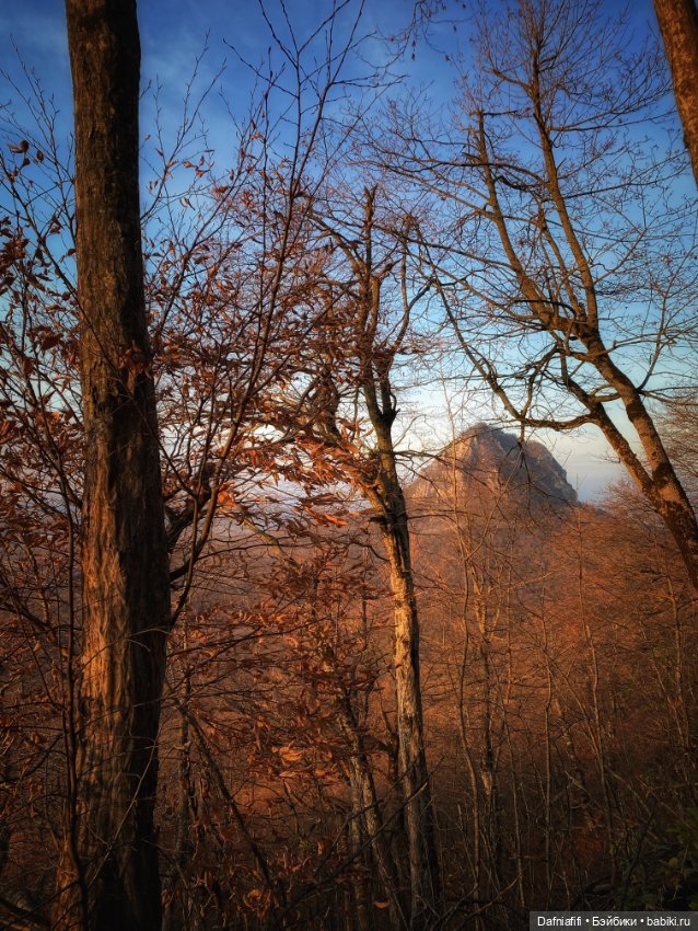 Люсенька — Гибриды шарнирных кукол (не БЖД): подбор тела