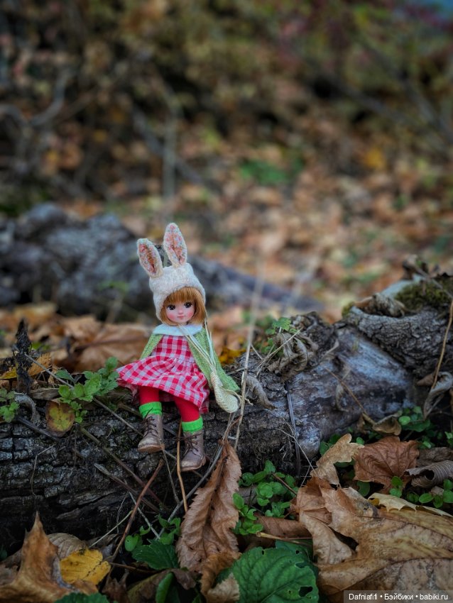 Люсенька — Гибриды шарнирных кукол (не БЖД): подбор тела (фото 10)