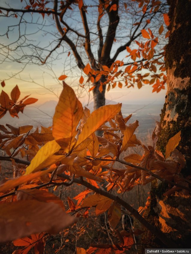 Люсенька — Гибриды шарнирных кукол (не БЖД): подбор тела