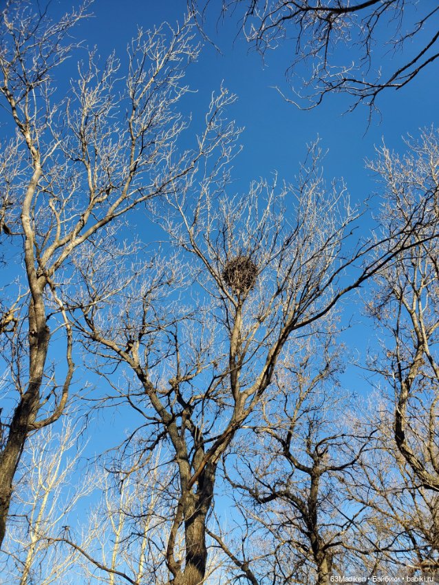 Солнце в ноябре — Куклы Helen Kish (Хелен Киш): Riley (Райли) (фото 2)