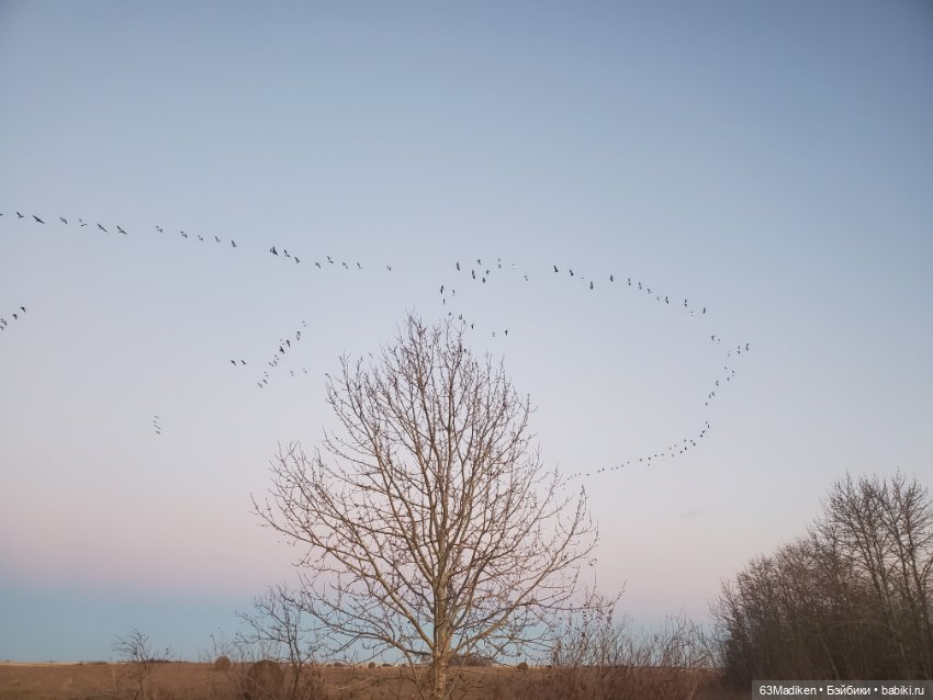 Солнце в ноябре — Куклы Helen Kish (Хелен Киш): Riley (Райли) (фото 3)