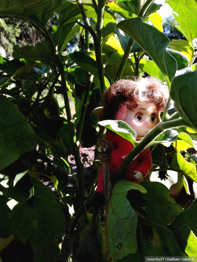 Про Нафочку. Дела огородные (фото 9)