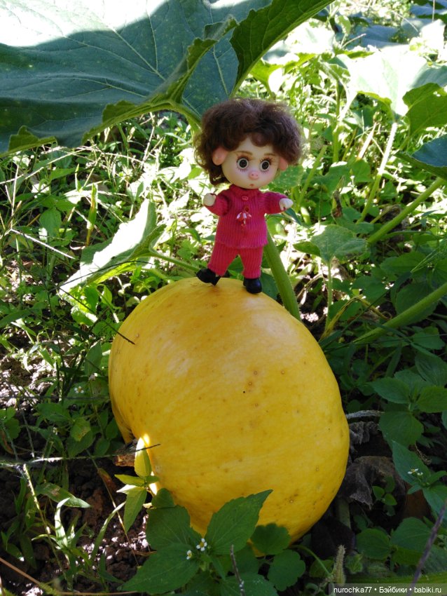 Про Нафочку. Дела огородные