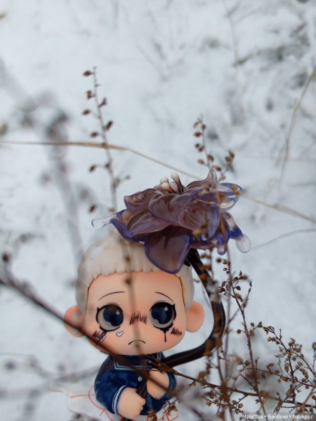 Хранитель замерзших цветов (фото 9)