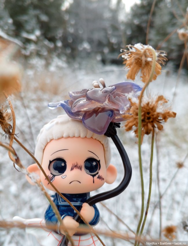 Хранитель замерзших цветов