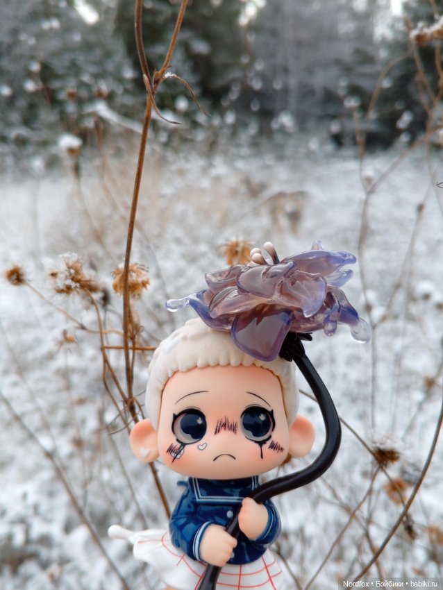 Хранитель замерзших цветов (фото 7)