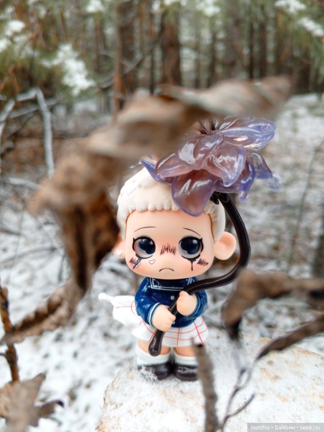 Хранитель замерзших цветов (фото 4)