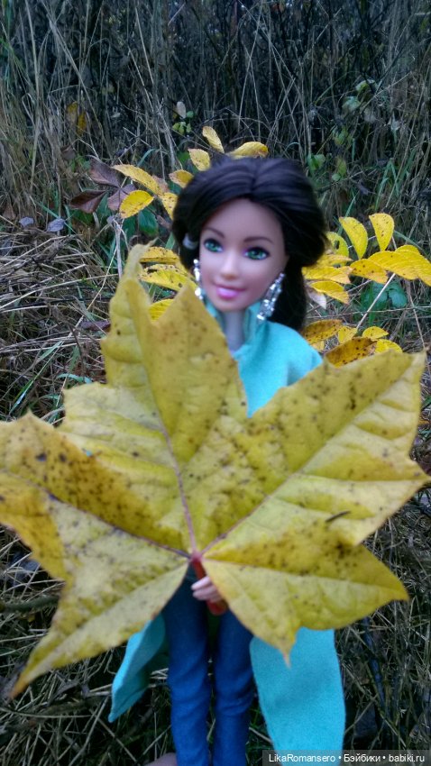 Ноябрь и Лея — Аналоги Барби и куклы 1/6: клоны 90 (фото 5)