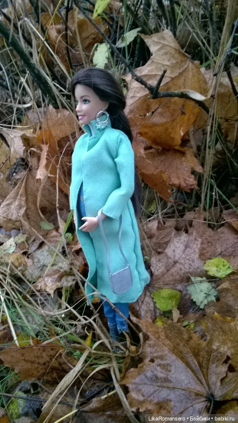 Ноябрь и Лея — Аналоги Барби и куклы 1/6: клоны 90 (фото 2)