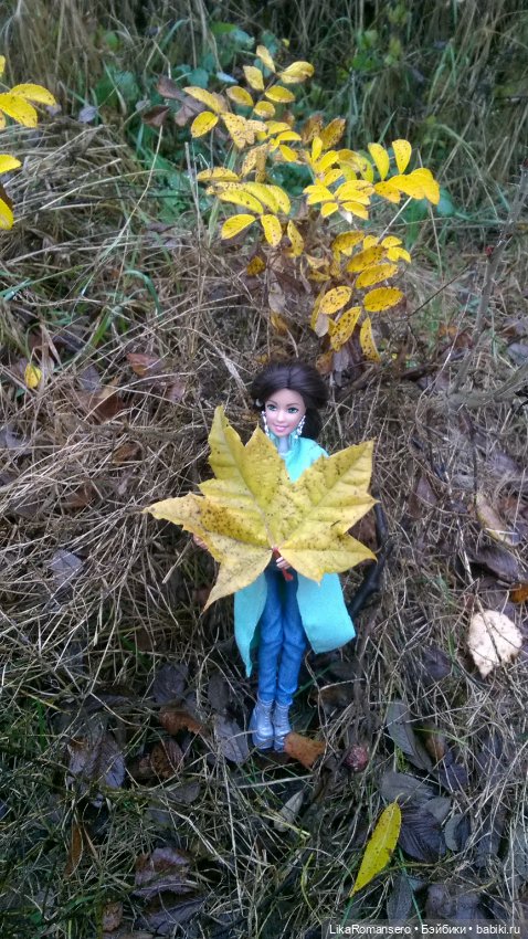 Ноябрь и Лея — Аналоги Барби и куклы 1/6: клоны 90 (фото 3)