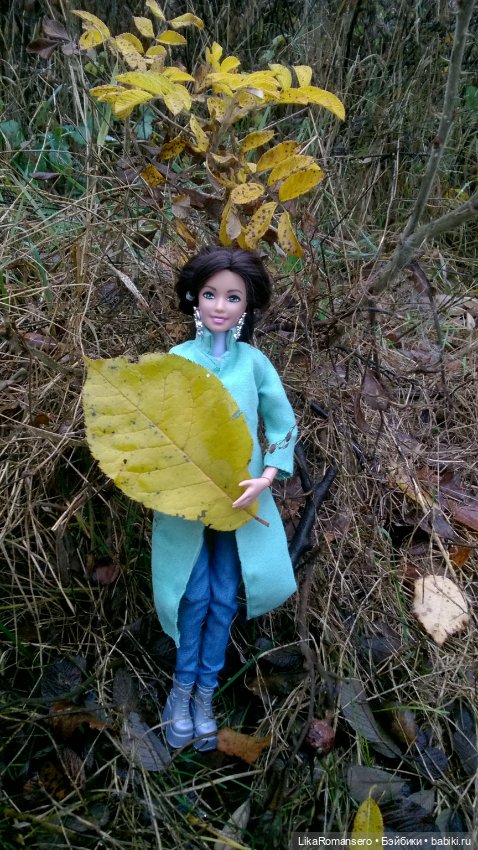 Ноябрь и Лея — Аналоги Барби и куклы 1/6: клоны 90 (фото 4)