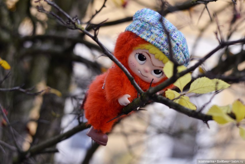 Вакуку-вакуку, прогони скуку