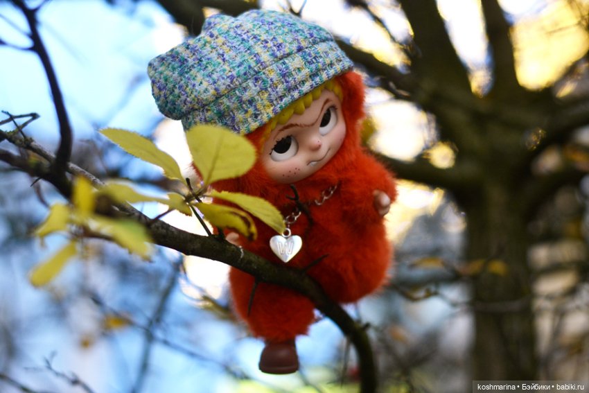 Вакуку-вакуку, прогони скуку