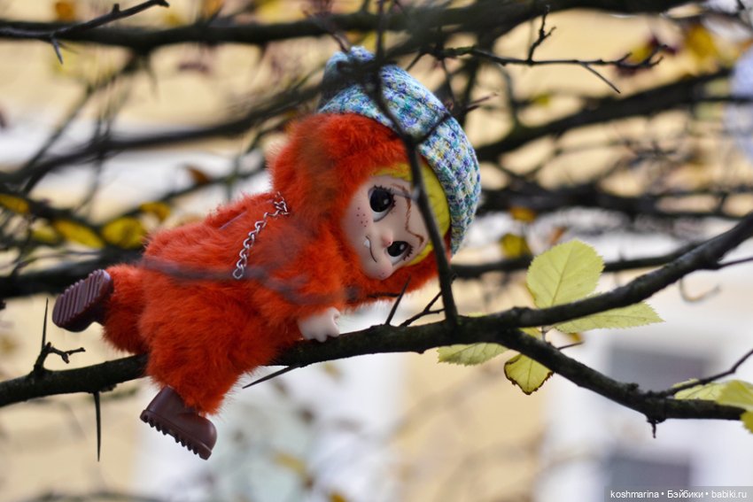 Вакуку-вакуку, прогони скуку
