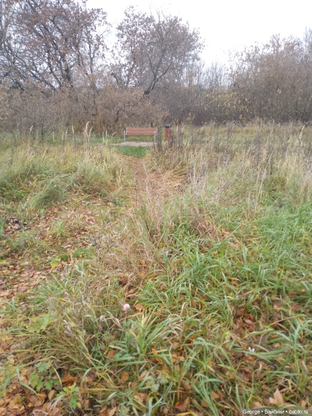 Лабубу в Москве — Игрушки Labubu (Лабубу) и The Monsters: Pop Mart