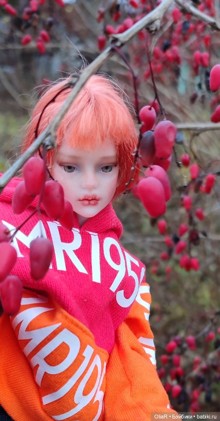 Барбариска Иден или как уговорить кукло-подростка поехать в осенний сад🍃🍂 (фото 8)