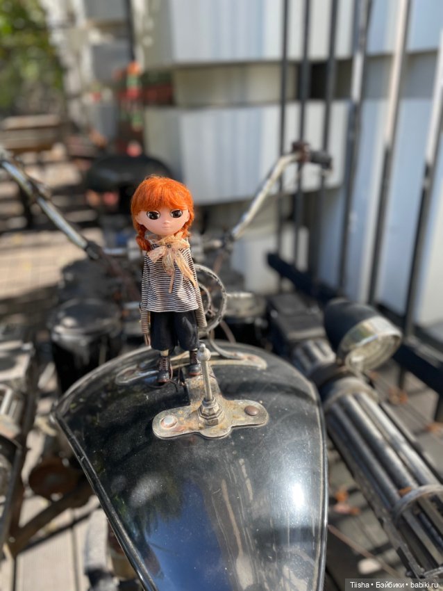 Прогулка с Moof Una — Азиатские виниловые куклы (разное): Китай