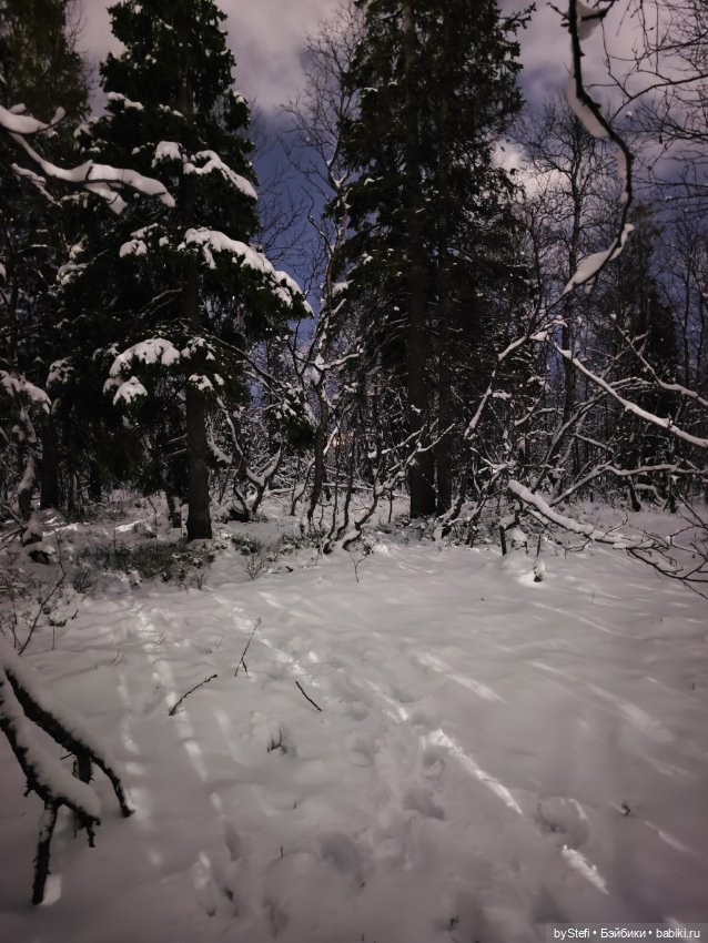 Теперь поделюсь новогодним настроением (фото 8)