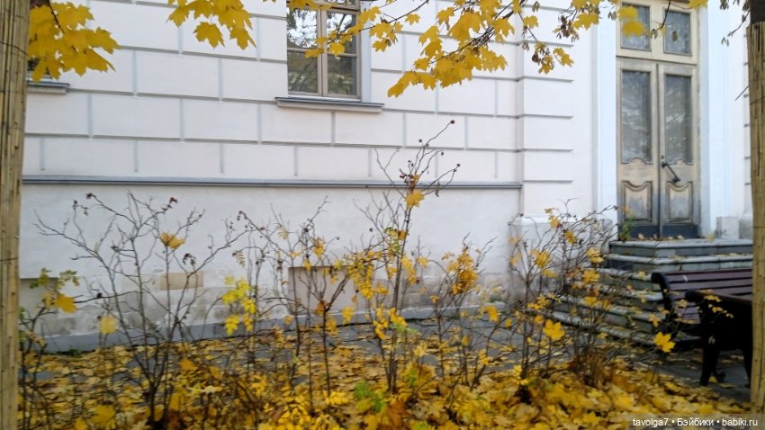 "Может быть, константа - цвет глаз" (фото 8)