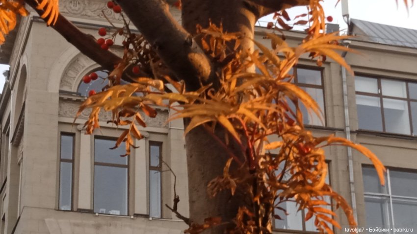 "Может быть, константа - цвет глаз"