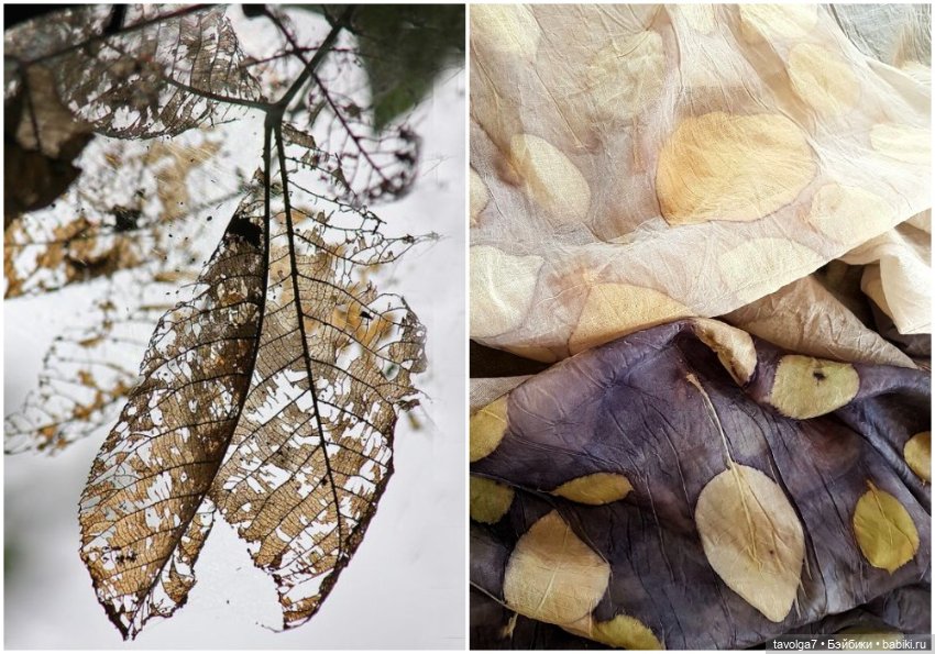 Кингцуги ноября — Культура