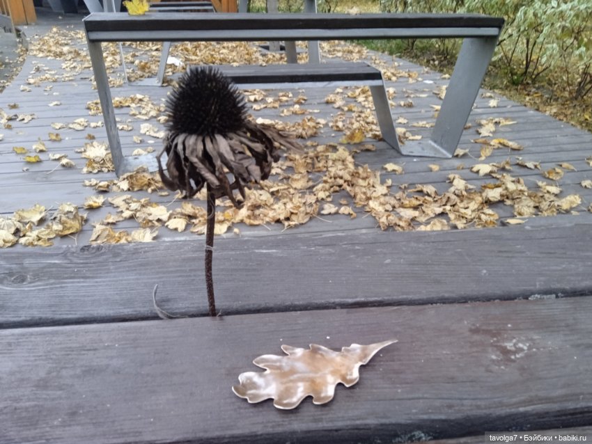 Мадлен в осени 2025 — Винтажные куклы ГДР (Немки): Бигги