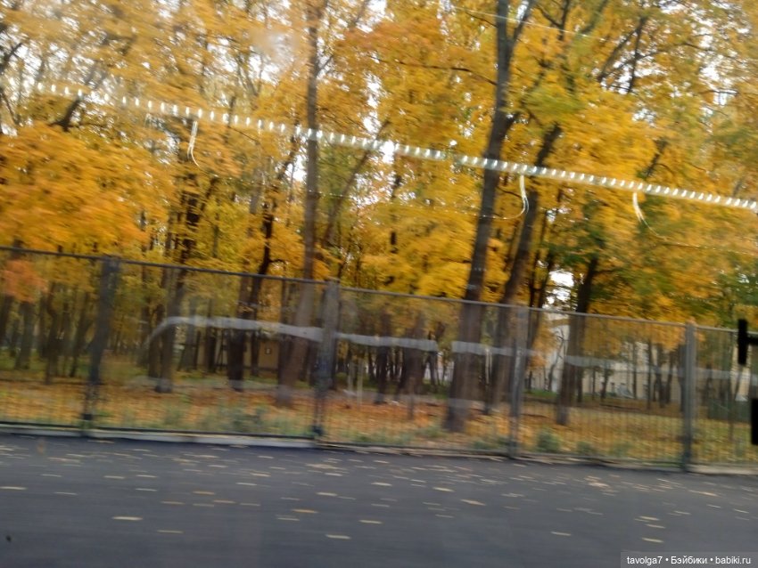 Мадлен в осени 2025 — Винтажные куклы ГДР (Немки): Бигги