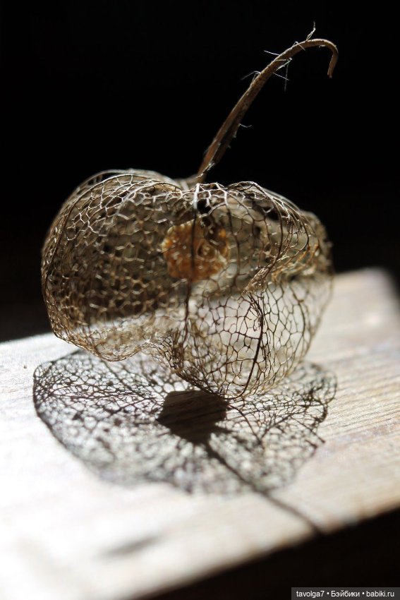 Кингцуги ноября — Культура