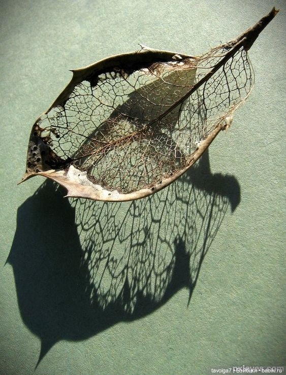 Кингцуги ноября — Культура (фото 6)