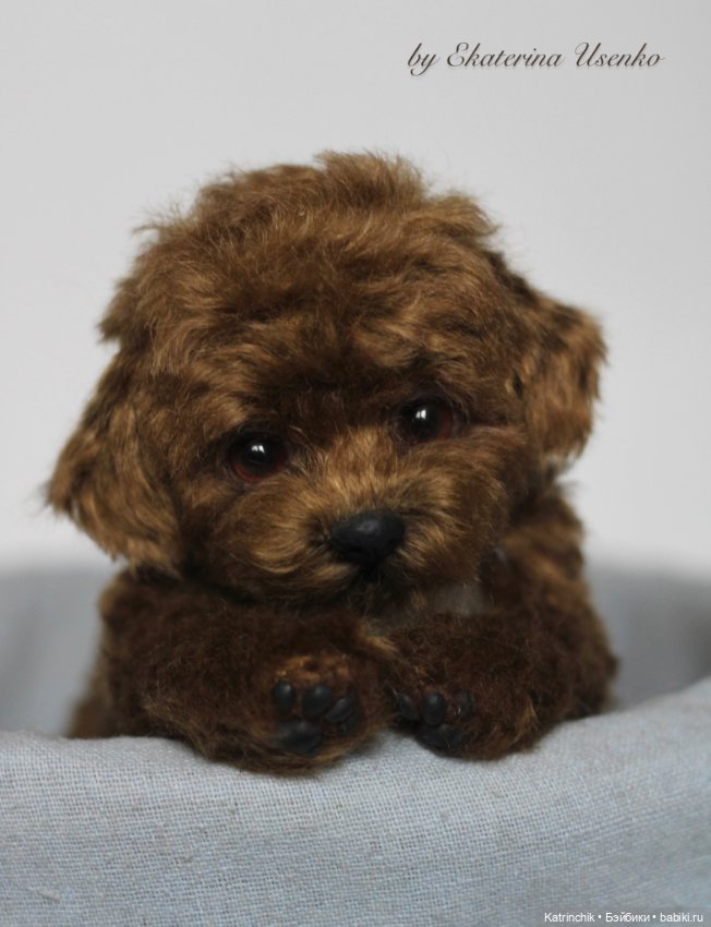 Щенок — Авторские мишки Тедди и друзья: фото (фото 3)