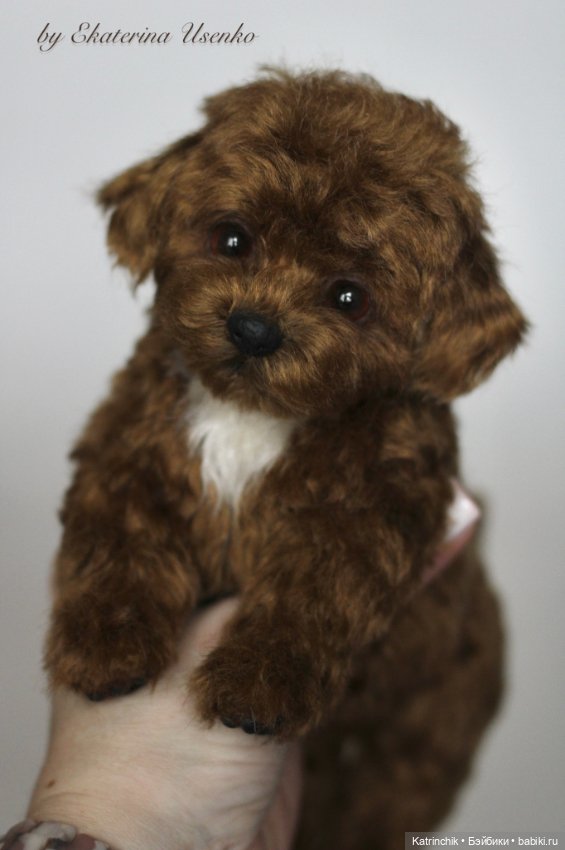 Щенок — Авторские мишки Тедди и друзья: фото