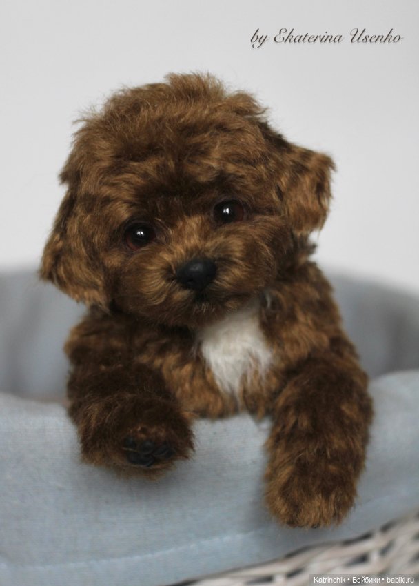 Щенок — Авторские мишки Тедди и друзья: фото (фото 2)