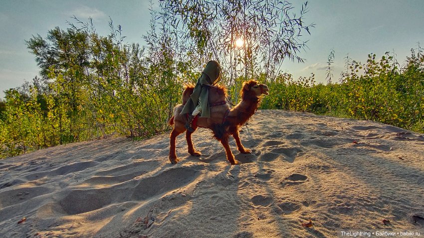 Нараянга — Куклы Murvenart (Мария Пикунова): российские BJD (БЖД)