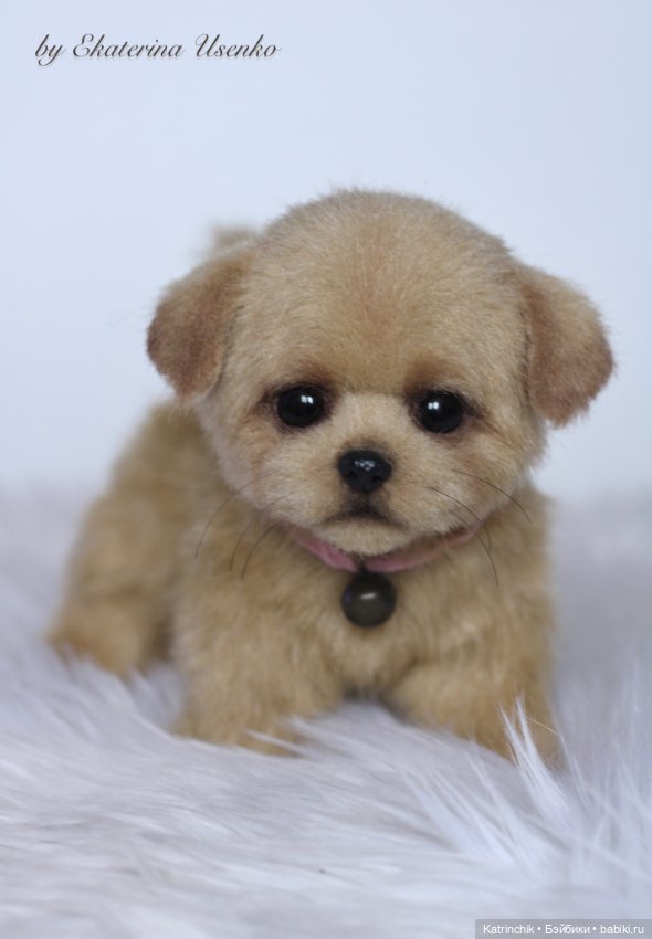 Мини щенок — Реалистичные игрушки и звери (Натюр): собаки