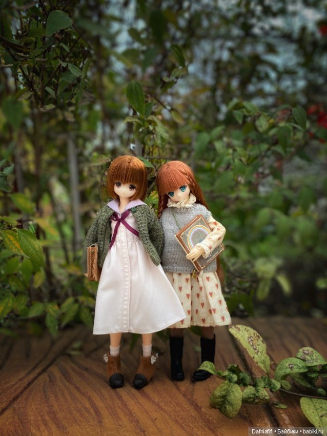 Meryl — Куклы Azone (Азон) и тела Pure Neemo: фото