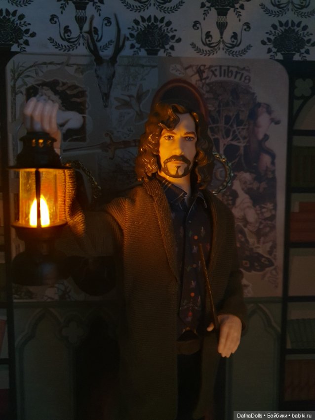 Бродяга добрался домой — Куклы Harry Potter (Гарри Поттер) Mattel: Wizarding World (фото 2)