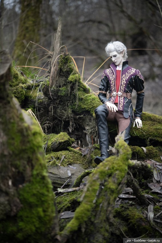 Астарион на залитых солнцем болотах (фото 4)