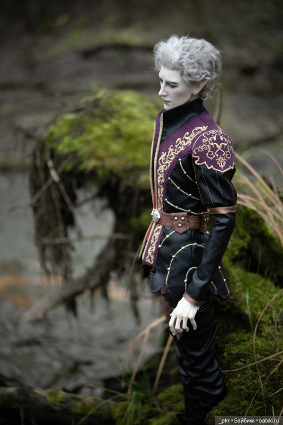 Астарион на залитых солнцем болотах (фото 8)