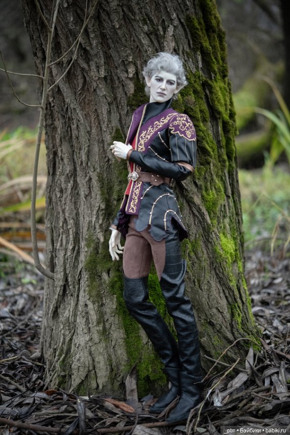 Астарион на залитых солнцем болотах (фото 9)