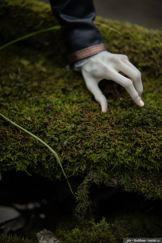 Астарион на залитых солнцем болотах (фото 3)
