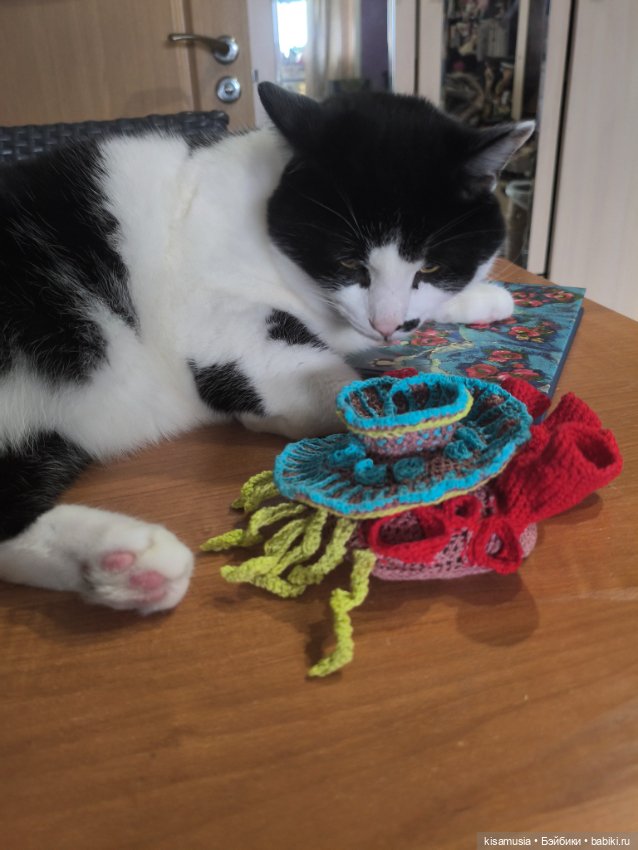 Вязанные кораллы — Другие хобби и увлечения: сад (фото 7)