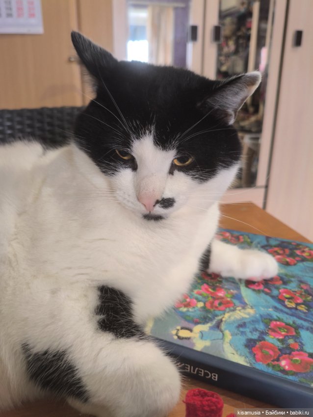 Вязанные кораллы — Другие хобби и увлечения: сад (фото 9)