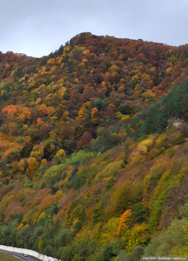 День длинных прогулок — Куклы Ruby Red (Руби Ред) Fashion Friends: Siblies