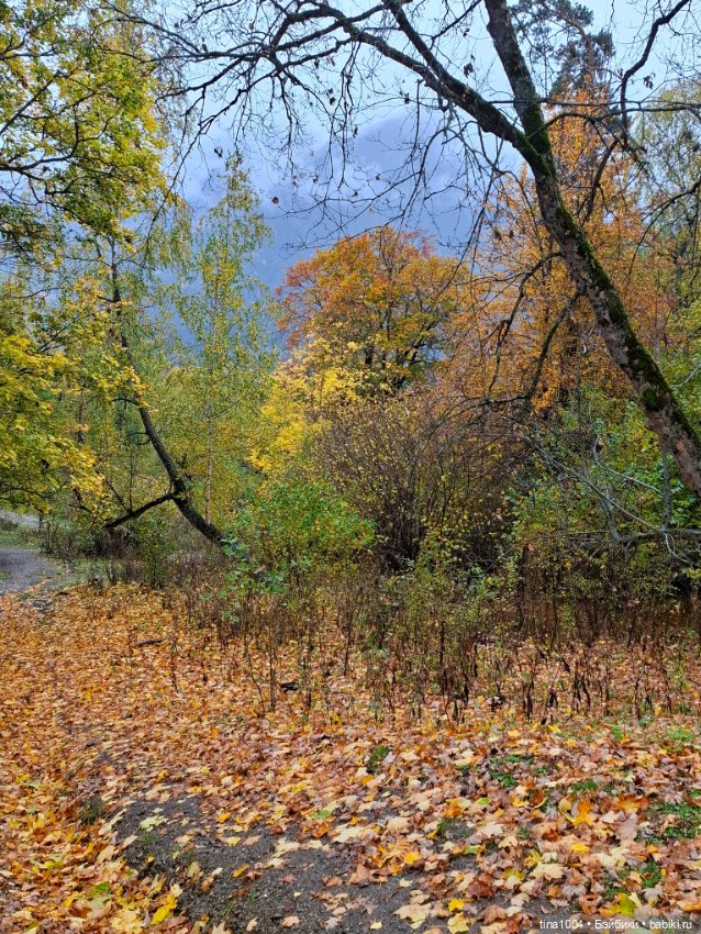 День длинных прогулок — Куклы Ruby Red (Руби Ред) Fashion Friends: Siblies