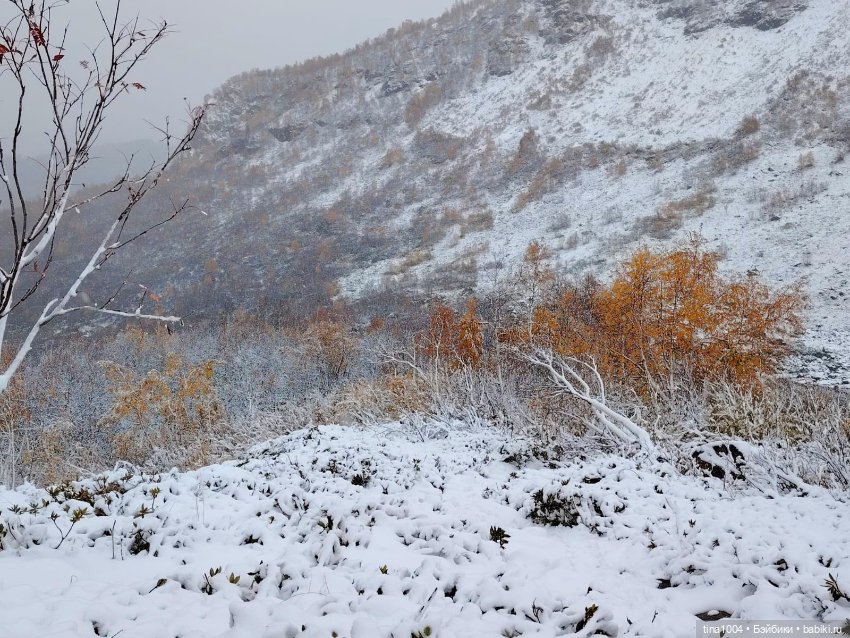 День длинных прогулок — Куклы Ruby Red (Руби Ред) Fashion Friends: Siblies