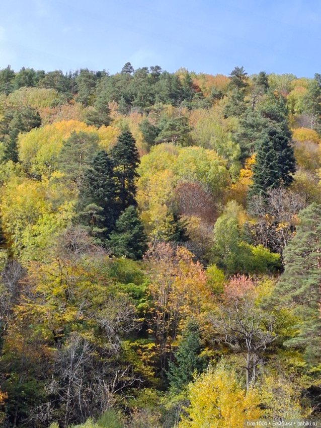 День длинных прогулок — Куклы Ruby Red (Руби Ред) Fashion Friends: Siblies